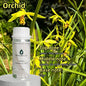 Abercrombie 100mL Essential Oil Aromatic Fragrance for Perfume Making Home Aroma Diffuser Air Freshener for Room Scents